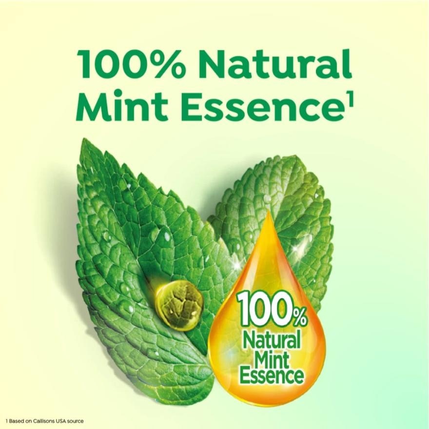 Toothpaste Double Action Mint 100g