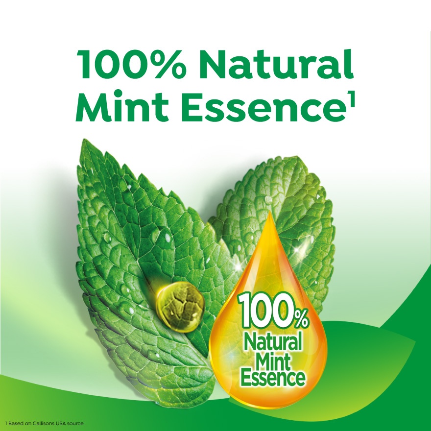 Toothpaste Double Action Natural Mint 75g image