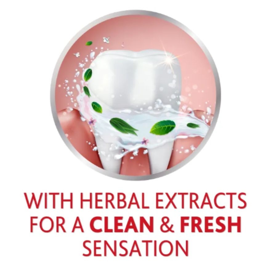 Herbal Toothpaste Improve Gum Health 90G image