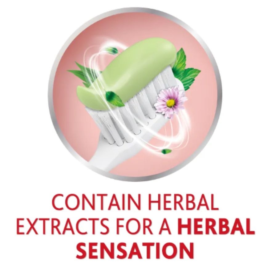 Herbal Toothpaste Improve Gum Health 90G image
