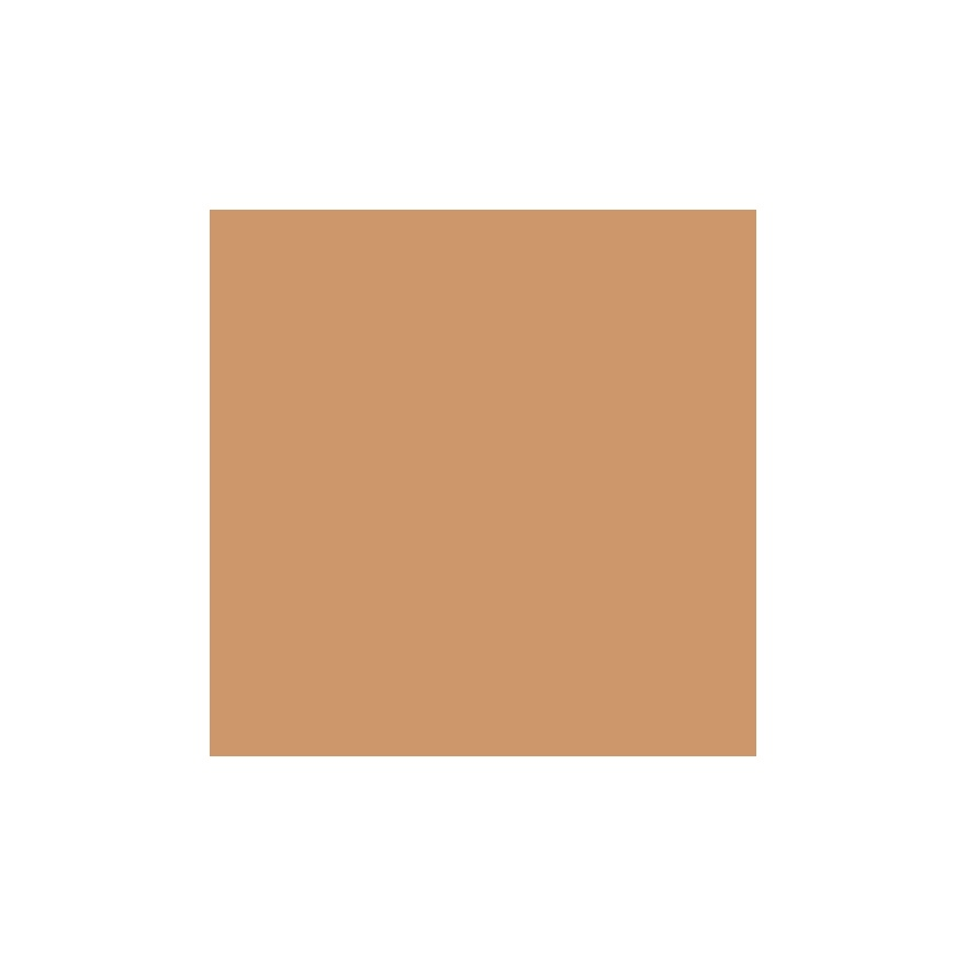 Stay All Day 16h Long-lasting Foundation 10 Soft Beige image
