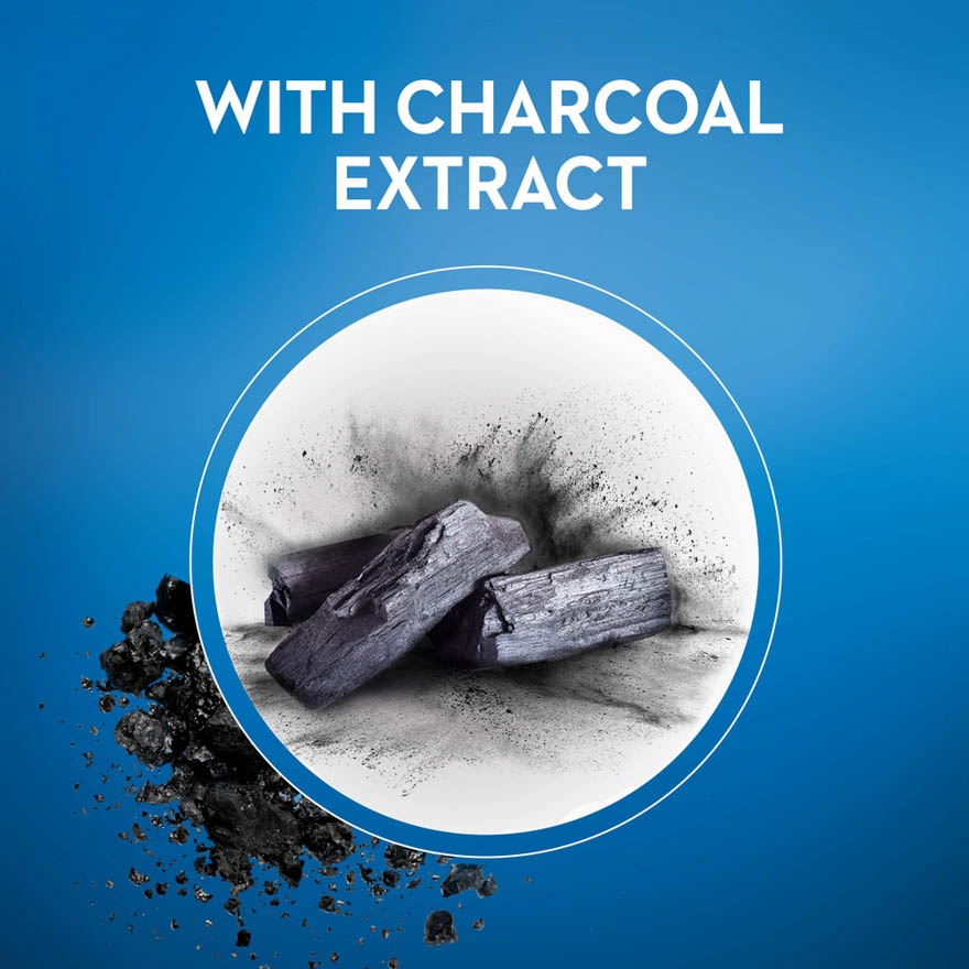 Charcoal White Soft Toothbrush 2s image