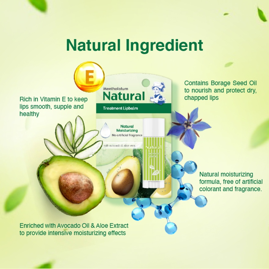 Natural Treatment Lipbalm 1pc image