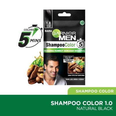GARNIER HAIR COLOR - Shampoo Colour 1.0 Black 20ml image