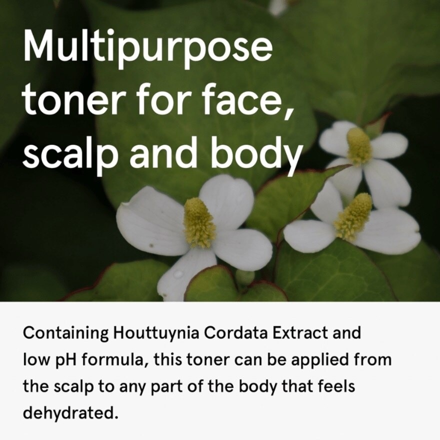 Houttuynia Cordata Extract Toner 150ml