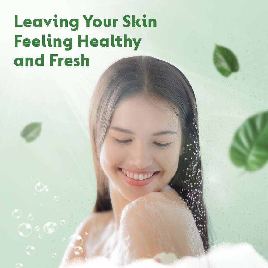 Antibacterial Body Wash Original 250g image
