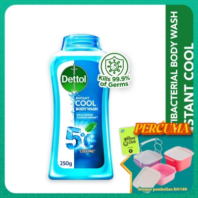 DETTOL - Body Wash Instant Cool Mint & Sea Minerals 250g