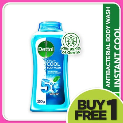 DETTOL Body Wash Instant Cool Mint & Sea Minerals 250g