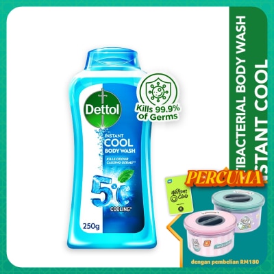 DETTOL Body Wash Instant Cool Mint & Sea Minerals 250g