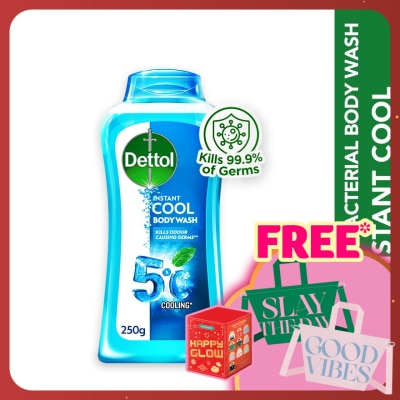 DETTOL Body Wash Instant Cool Mint & Sea Minerals 250g
