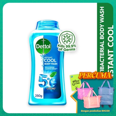 DETTOL Body Wash Instant Cool Mint & Sea Minerals 250g