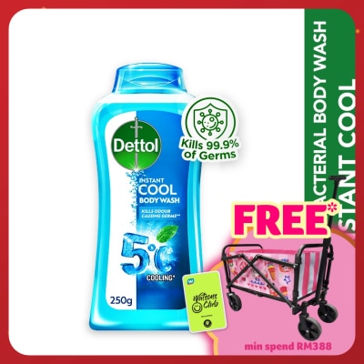 DETTOL Body Wash Instant Cool Mint & Sea Minerals 250g