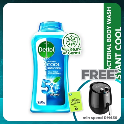 DETTOL Body Wash Instant Cool Mint & Sea Minerals 250g