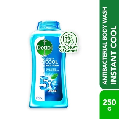 DETTOL Body Wash Instant Cool Mint & Sea Minerals 250g