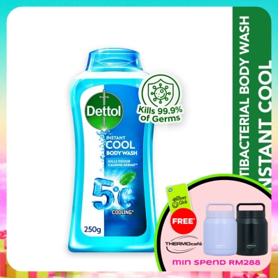 DETTOL - Body Wash Instant Cool Mint & Sea Minerals 250g