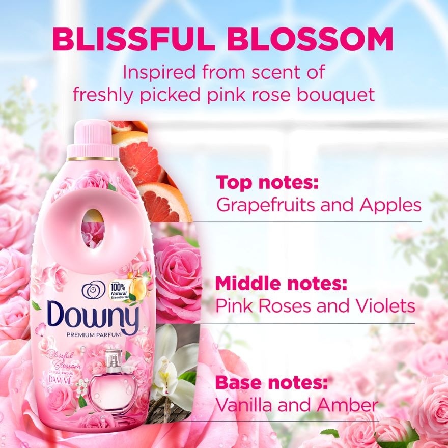 Fabric Softener Blissful Blossom 800ML