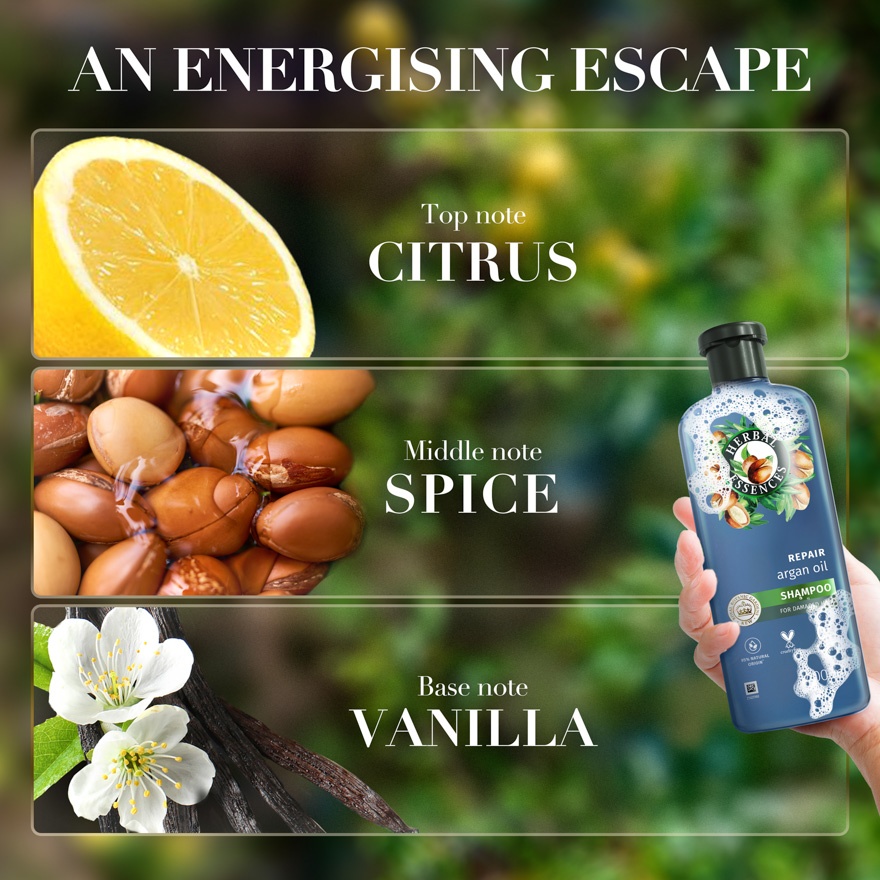 Argan Oil of Morocco Shampoo 600ML image