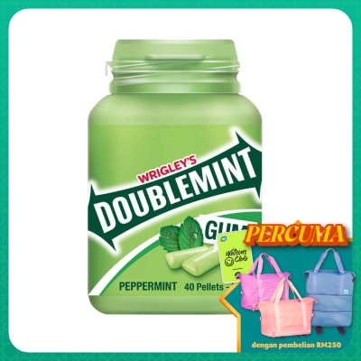 WRIGLEY'S Doublemint Chewing Gum Peppermint Bottle 58g