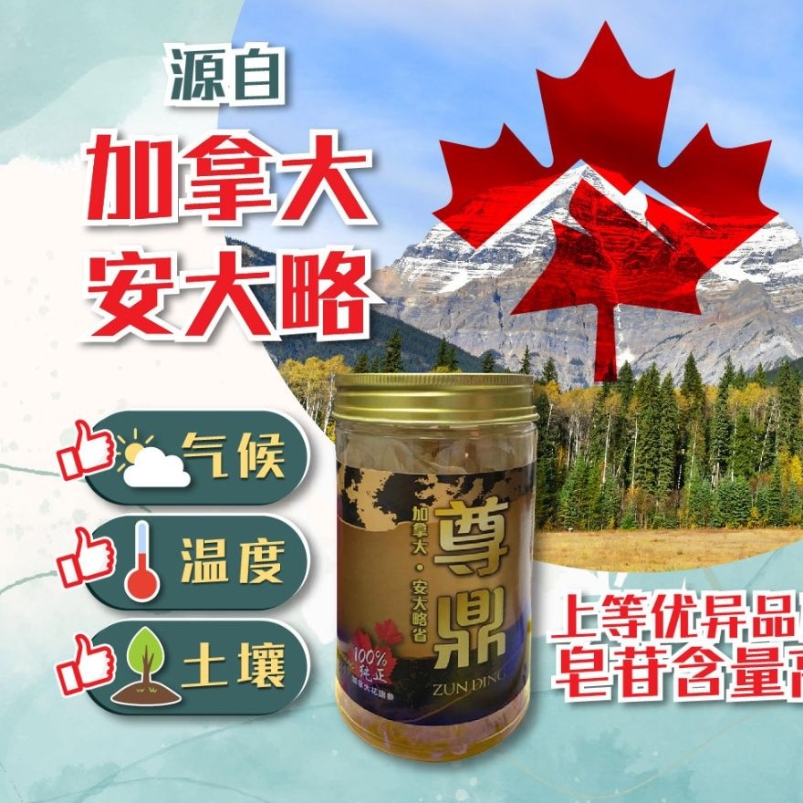 [2 Bottles] Zun Ding Canada Ginseng 30gm