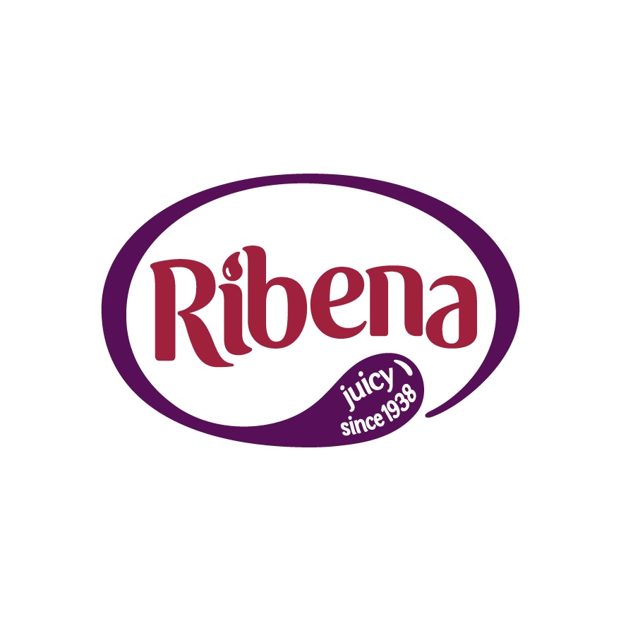 Mobile Regular Blackcurrant 300ml