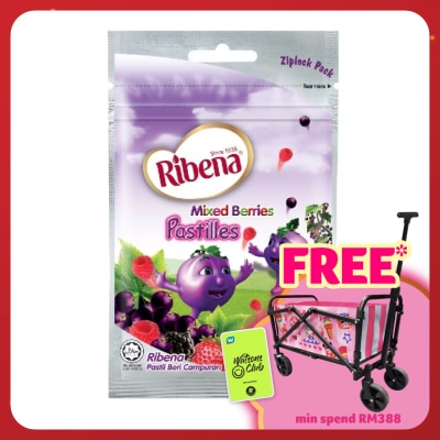 RIBENA Pastille Mix Berry Flavor 15s