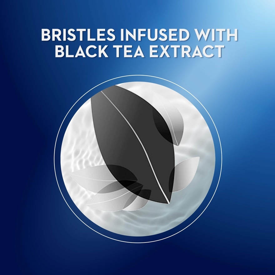 Ultrathin Black Tea Toothbrush Blister 3s
