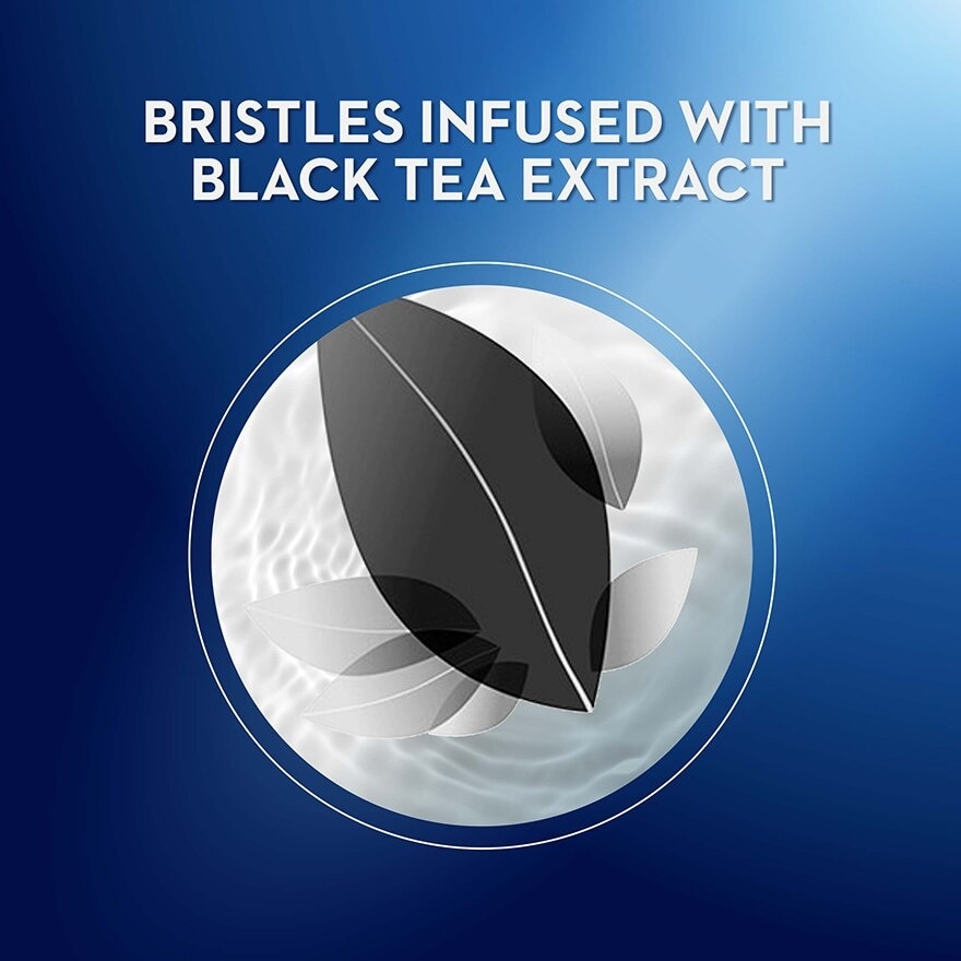 Ultra Thin Toothbrush Black Tea (B2F1) 1's