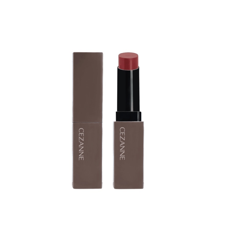 LIP COLOR SHIELD 01 FIG BROWN