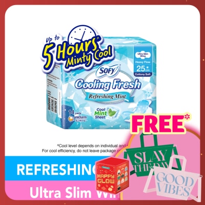 SOFY Cooling Fresh Day Ultra Slim 25cm 14s