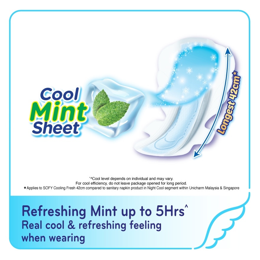 Cooling Fresh Night Slim Wing 42cm 6s