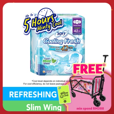 SOFY Cooling Fresh Night Slim Wing 42cm 6s