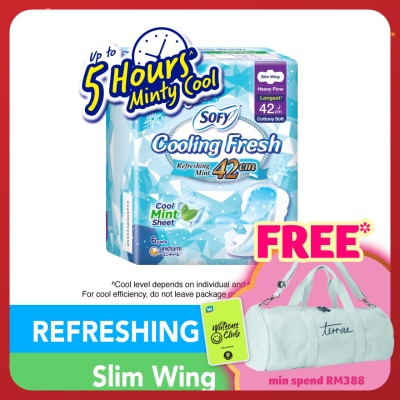 SOFY Cooling Fresh Night Slim Wing 42cm 6s
