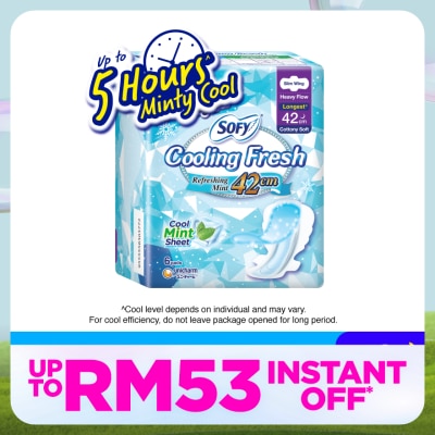 SOFY Cooling Fresh Night Slim Wing 42cm 6s