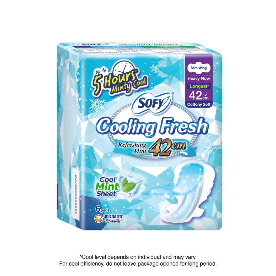 Cooling Fresh Night Slim Wing 42cm 6s