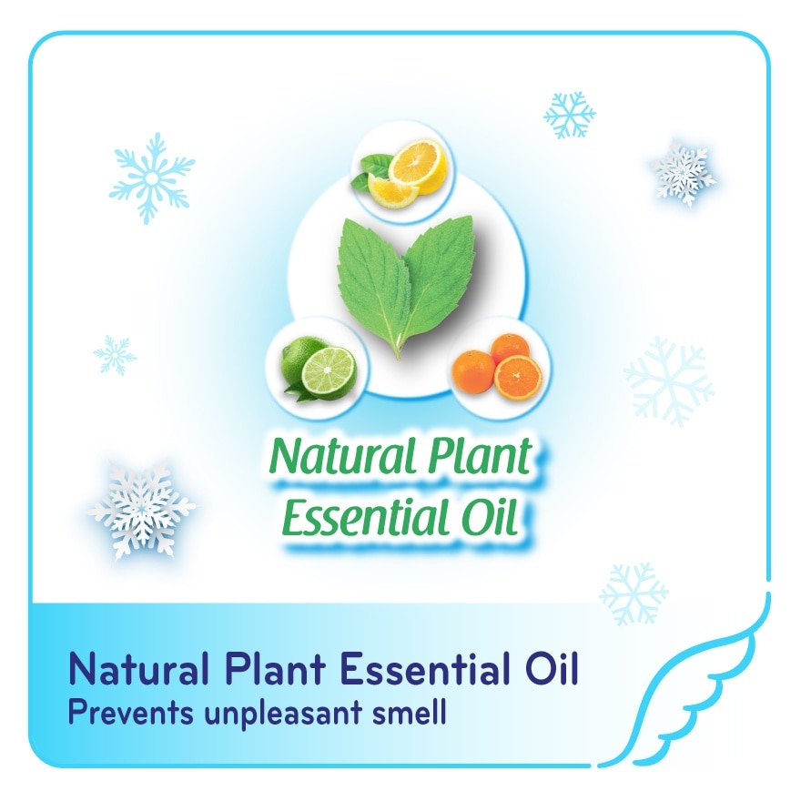 Cooling Fresh Night Slim Wing 42cm 6s