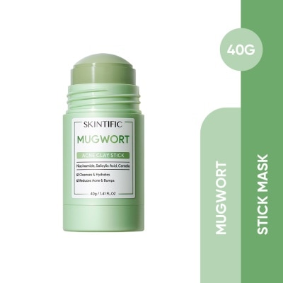 SKINTIFIC - Mugwort Anti Pores & Acne Clay Stick 40g