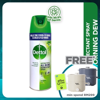 DETTOL Disinfectant Spray Morning Dew 450ml