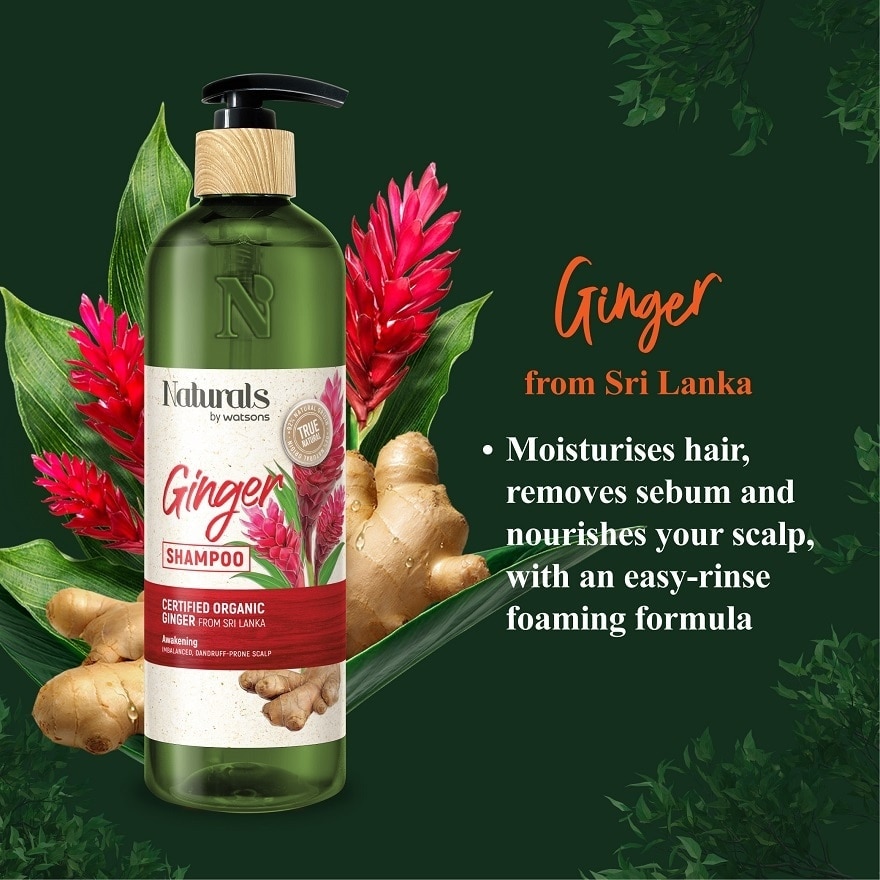 Ginger Shampoo - Awakening 490ml