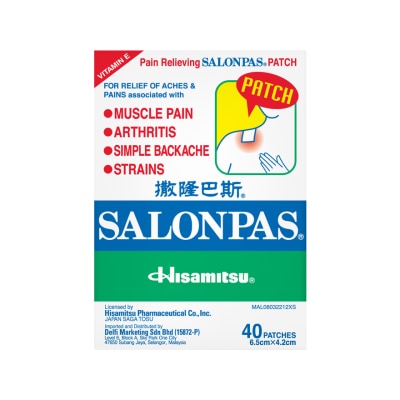 SALONPAS Pain Relieving Patch 40's