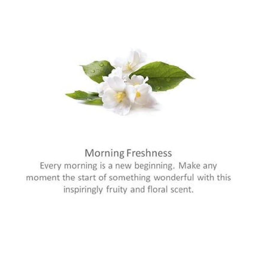 Scented Gel Morning Fresh 180g