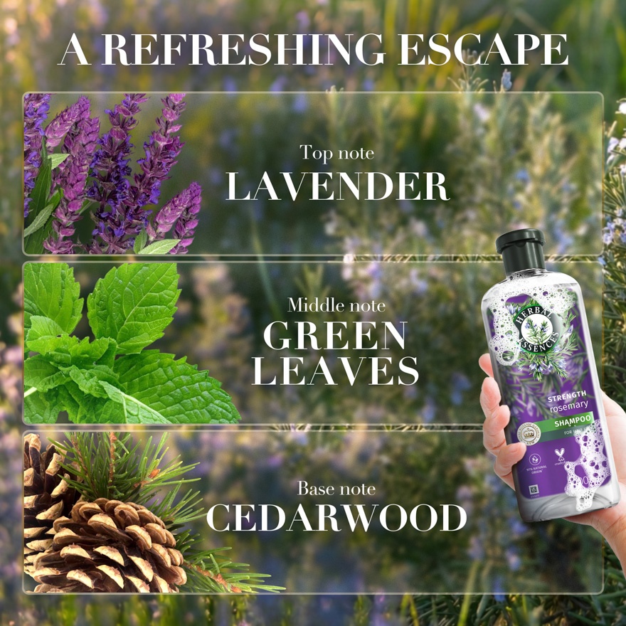 Rosemary Strength Shampoo 400ML image