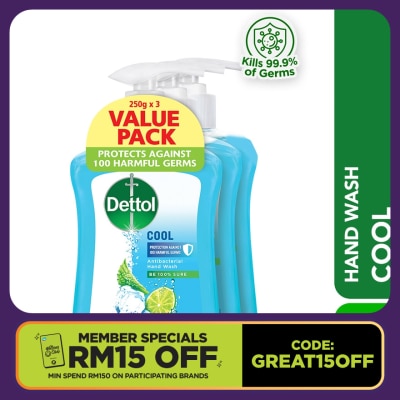 DETTOL Hand Wash Cool Mint & Bergamot Value Pack 250g x3