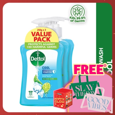 DETTOL Hand Wash Cool Mint & Bergamot Value Pack 250g x3