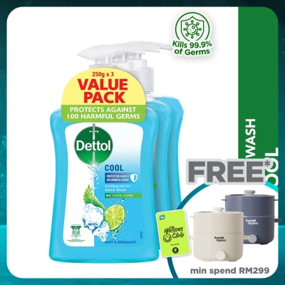 DETTOL Hand Wash Cool Mint & Bergamot Value Pack 250g x3