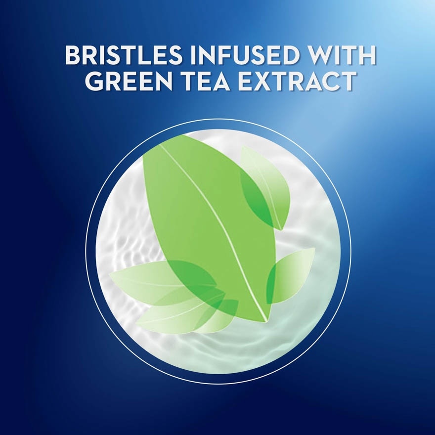 Pro-Health Green Tea Toothbrush Blister 3s