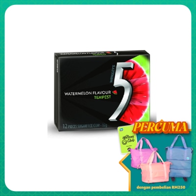 WRIGLEY'S 5GUM Tempest Watermelon Flavor Chewing Gum 12's