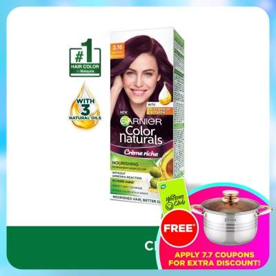 GARNIER HAIR COLOR - Color Naturals 3.16 Red Burgundy 1's