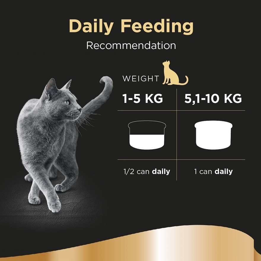 Cat Wet Food Tuna Fillet in Jelly 85gm