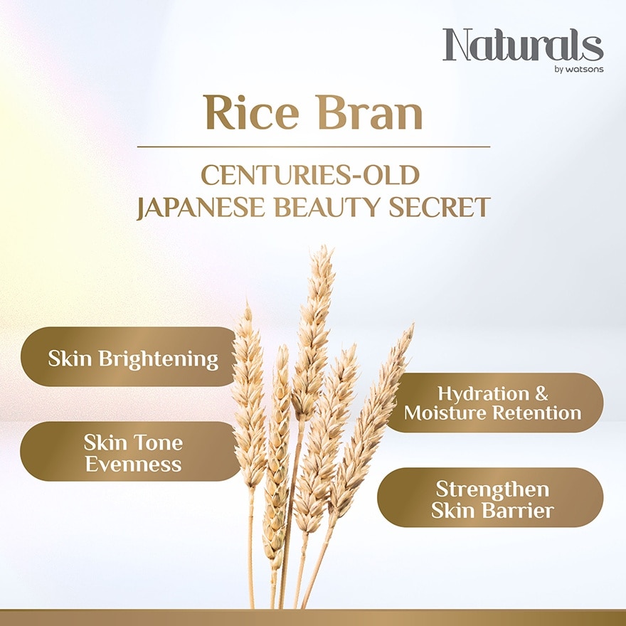 Rice Bran & Soy Bean Brightening Daily Cream 50g