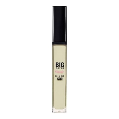 ETUDE HOUSE Big Cover Skin Fit Pro Neutral Mint